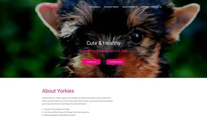 Screenshot of