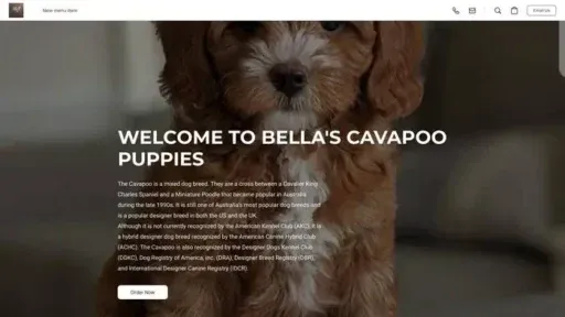 Screenshot of