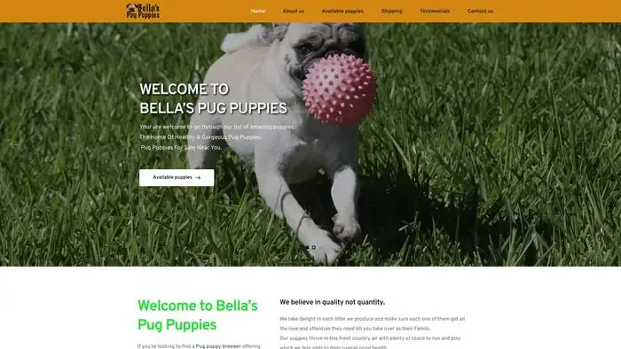 Screenshot of