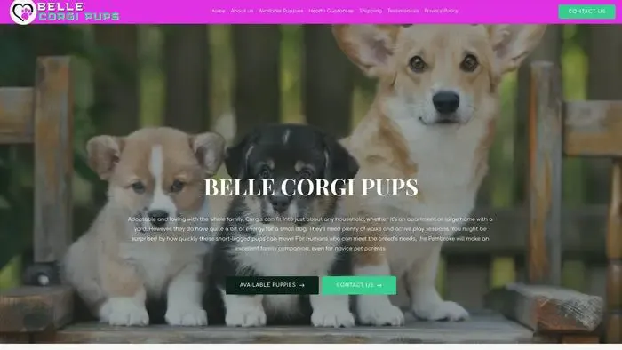 Screenshot of