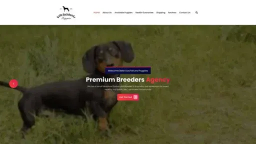 Screenshot of||