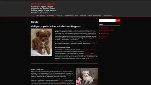 Screenshot of