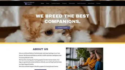 Screenshot of