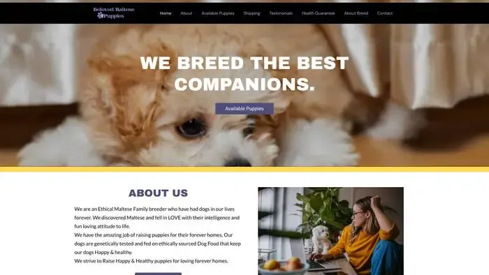 Screenshot of