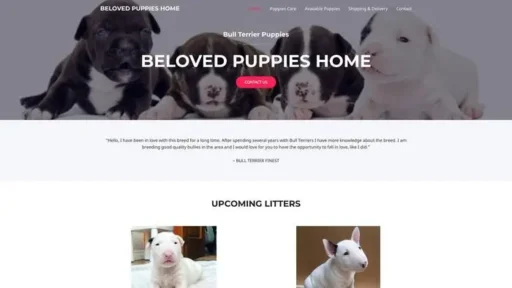 Screenshot of