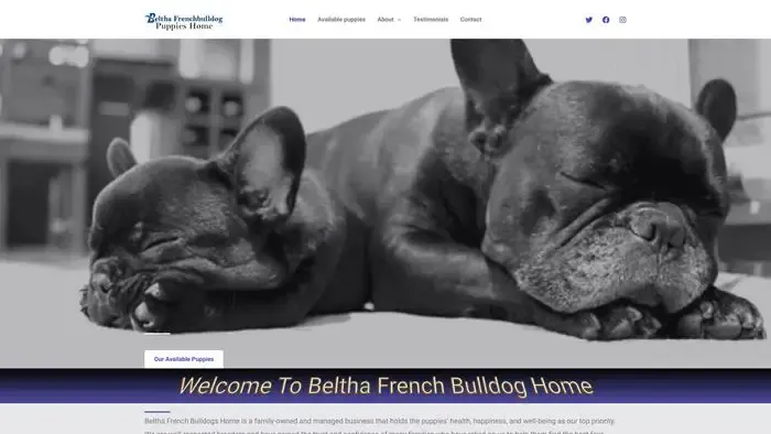 Screenshot of