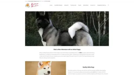 Screenshot of