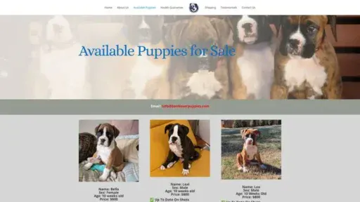 Screenshot of