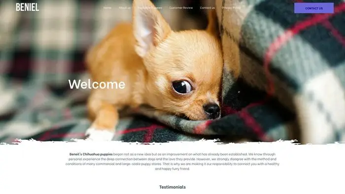 Screenshot of