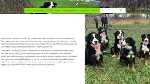 Screenshot of