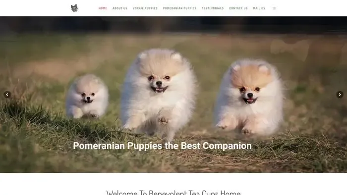 Screenshot of