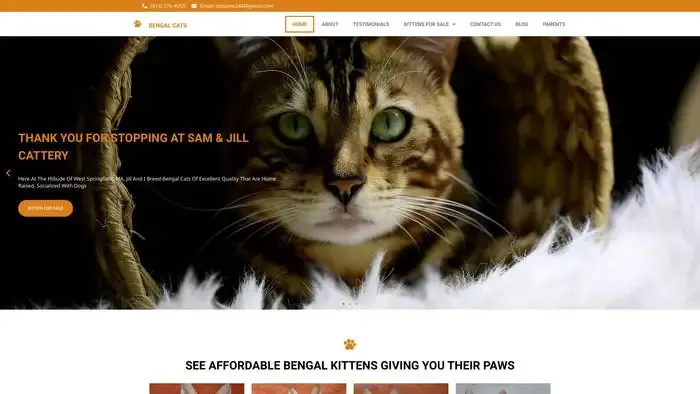 Screenshot of