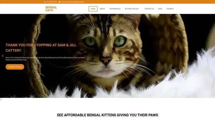 Screenshot of