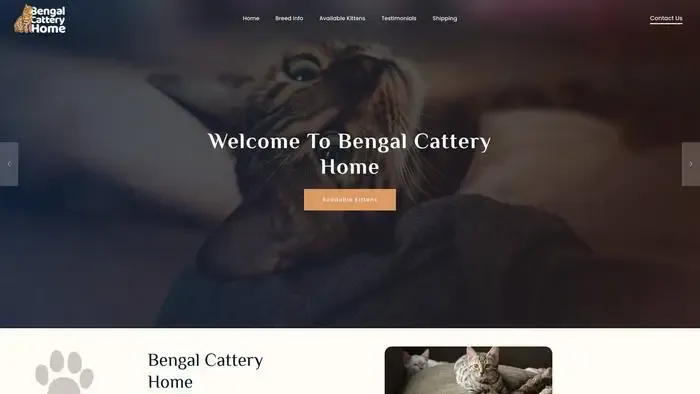 Screenshot of