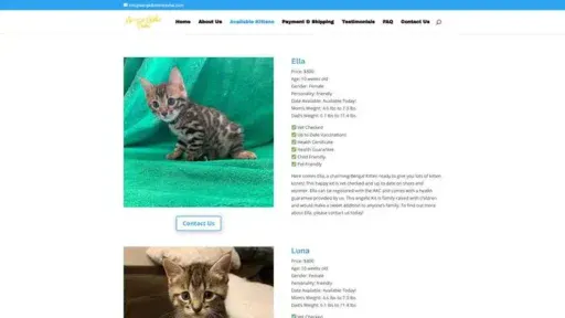 Screenshot of