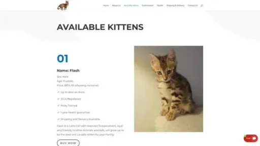 Screenshot of
