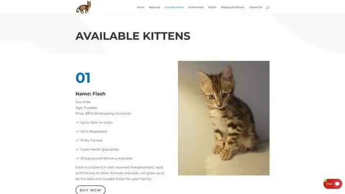 Screenshot of