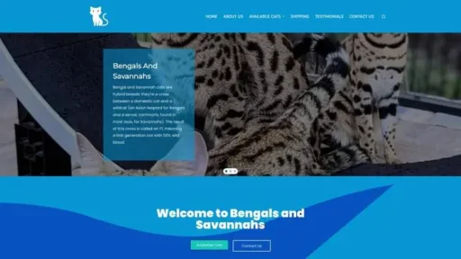 Screenshot of