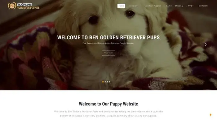 Screenshot of