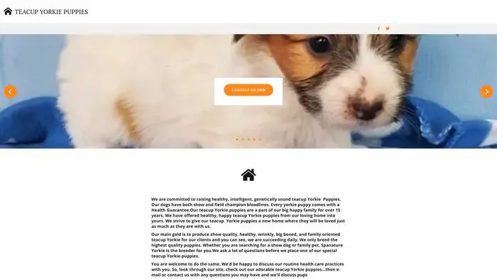 Screenshot of