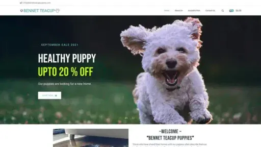 Screenshot of
