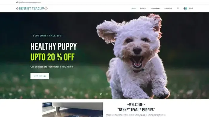 Screenshot of