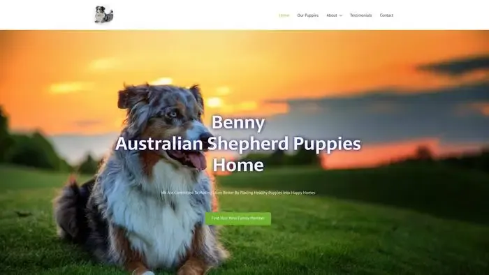 Screenshot of