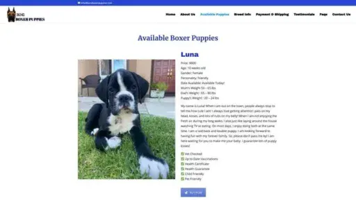 Screenshot of