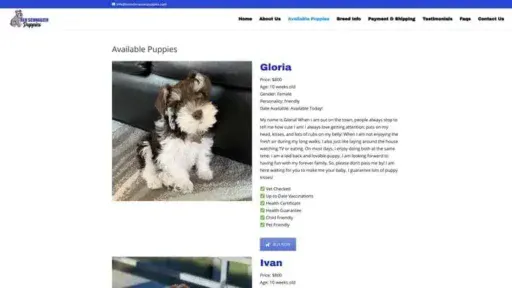 Screenshot of