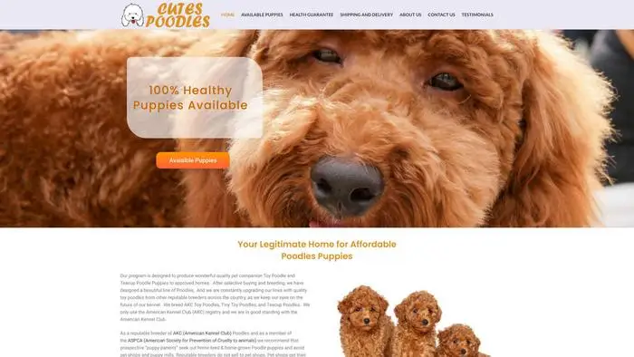 Screenshot of