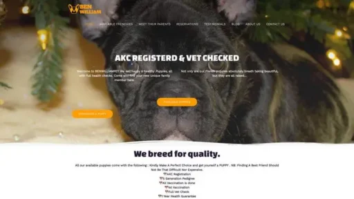 Screenshot of