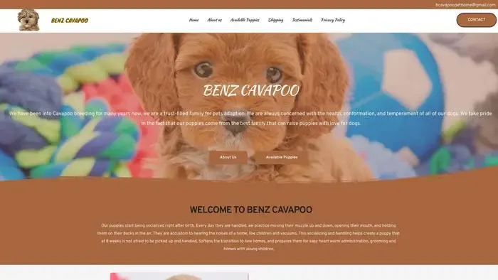 Screenshot of