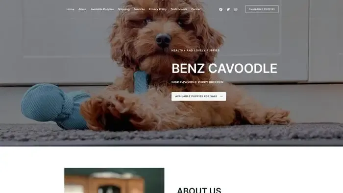 Screenshot of
