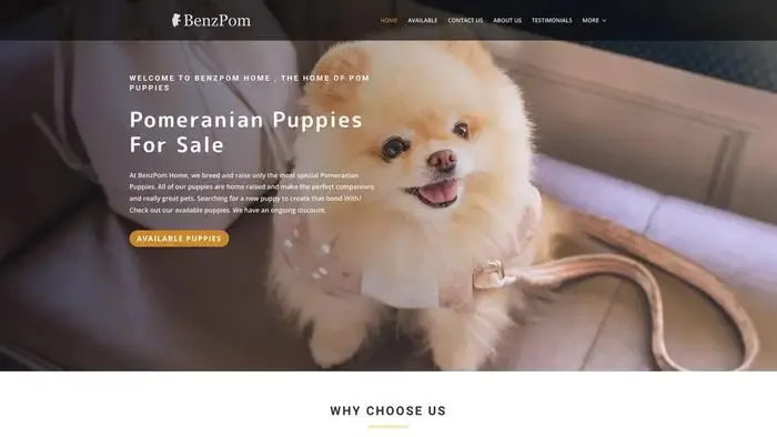 Screenshot of