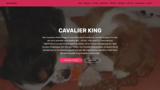 Screenshot of