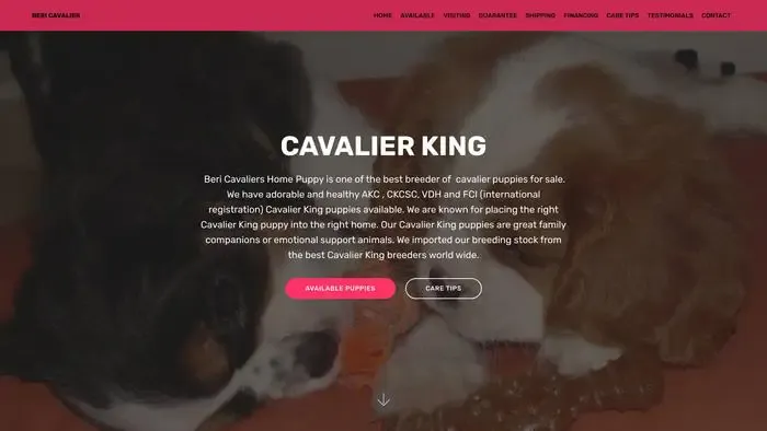 Screenshot of