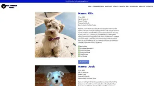 Screenshot of