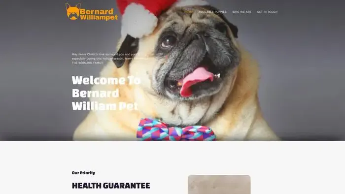 Screenshot of