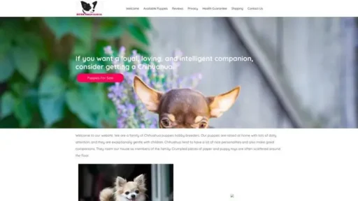 Screenshot of