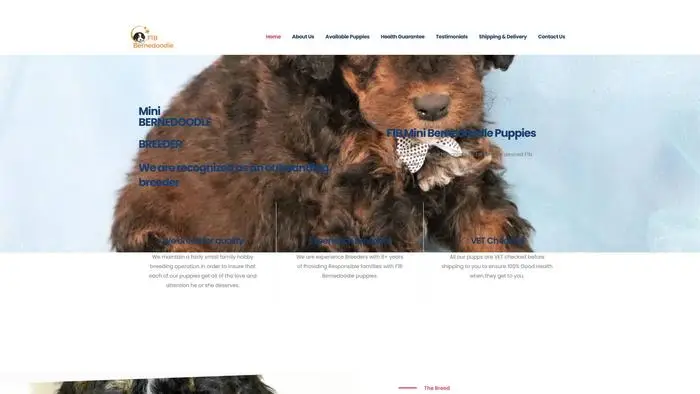 Screenshot of