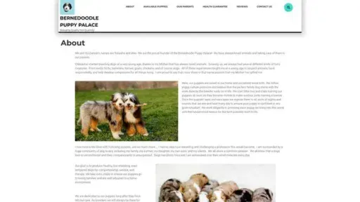 Screenshot of