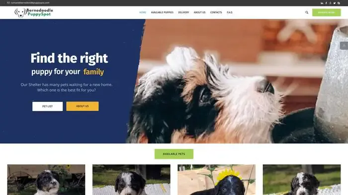 Screenshot of