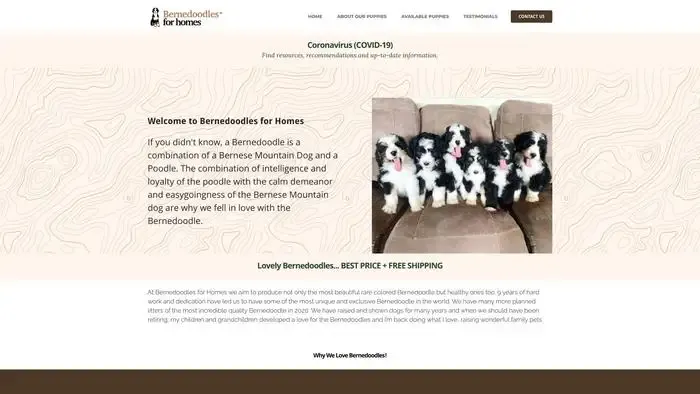 Screenshot of