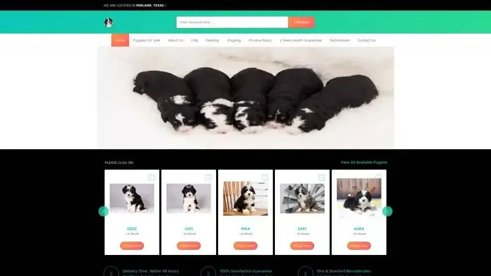 Screenshot of