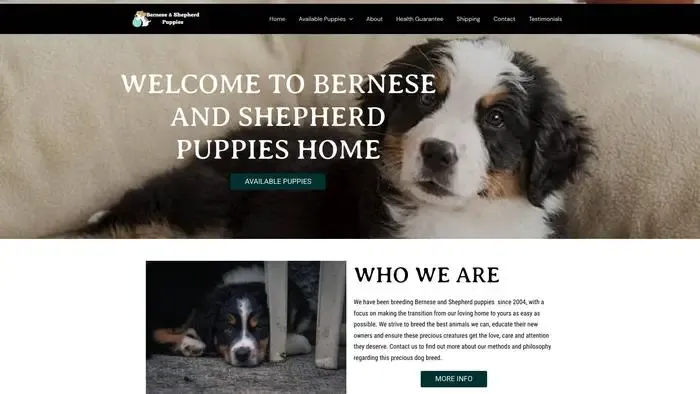 Screenshot of
