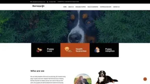 Screenshot of