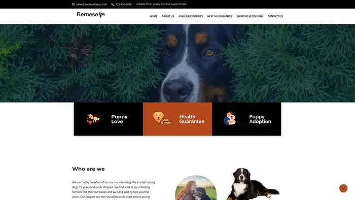 Screenshot of