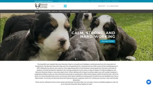 Screenshot of