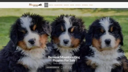 Screenshot of||