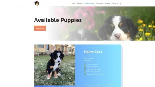 Screenshot of